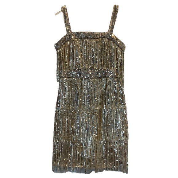 SHEIN Dresses & Skirts - Shein DRESS-VTG Gatsby Party Style Gold Flappe Dress - Sequined Tassels sz 6
